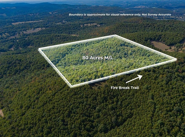 3268 Fire Break Trl, Flippin, AR 72634
