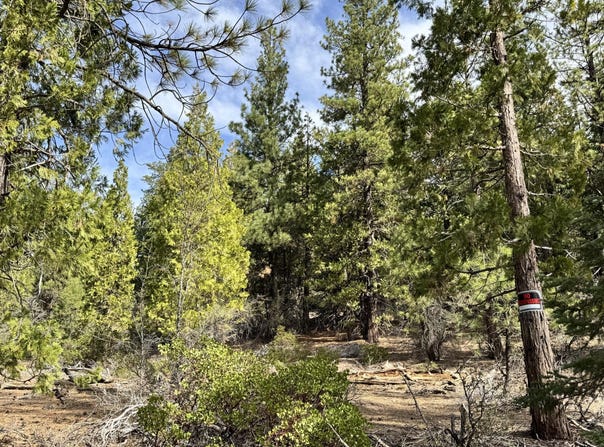 Whale Lane, Bonanza, OR 97623