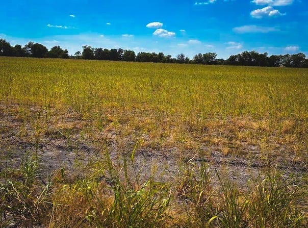 CR 3061, Thorndale, TX 76577