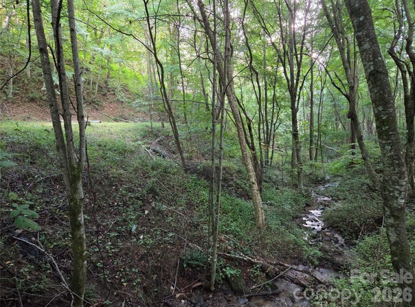 Creekside Drive, Maggie Valley, NC 28751