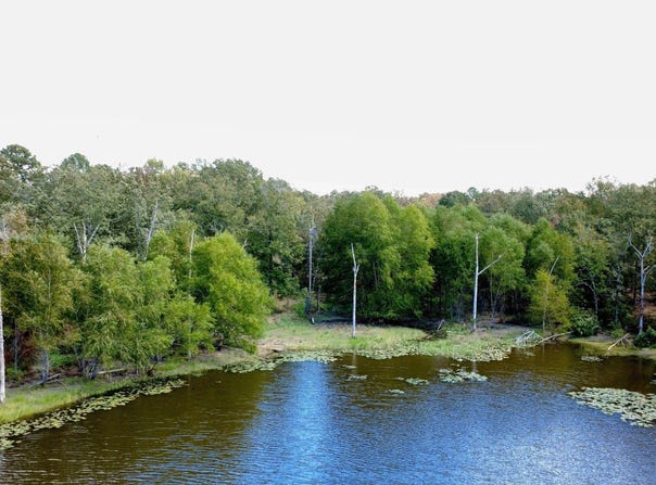 435882 E 1931 Road, Rattan, OK 74562