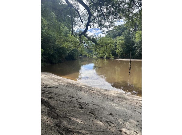 Tranquility Ln, Moselle, MS 39459