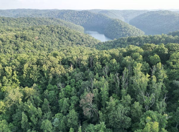 Flatwoods Run, Sutton, WV 26601