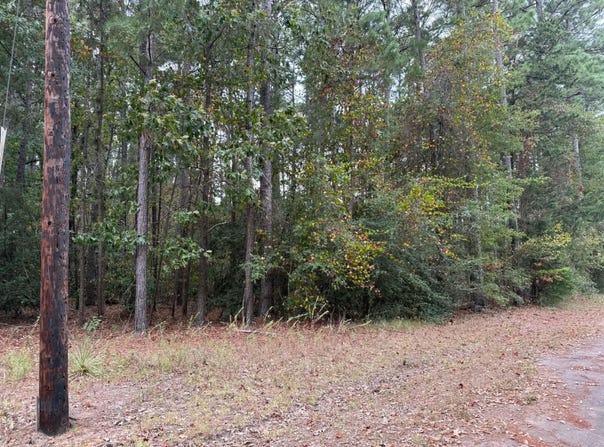 Quail Drive, Jefferson, TX 75657