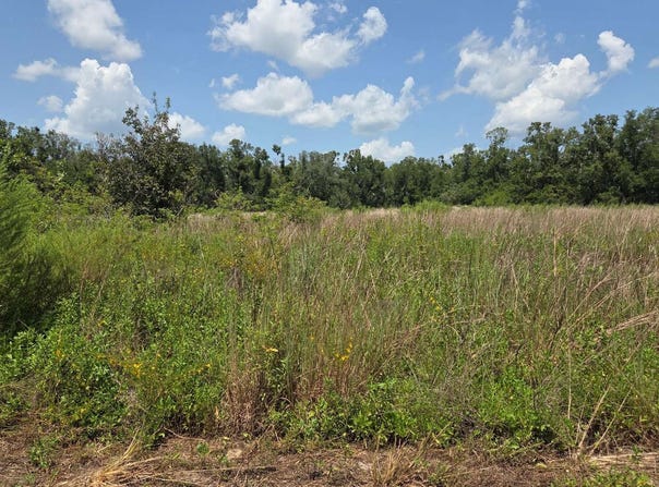 144TH STREET, Live Oak, FL 32060