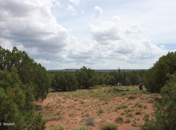 N8595, Concho, AZ 85924