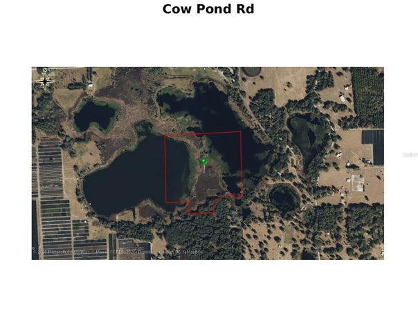 COW POND Road, SEVILLE, FL 32190