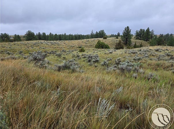 Parcel 16 Mountain View Road, Molt, MT 59057