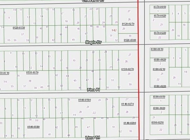 MAPLE Drive, INTERLACHEN, FL 32148