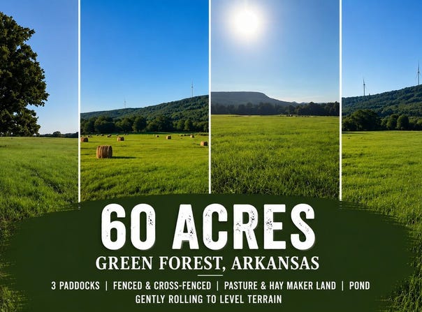 County Road 906, Green Forest, AR 72638