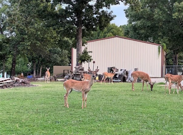 Deer Creek, Canadian, OK 74425