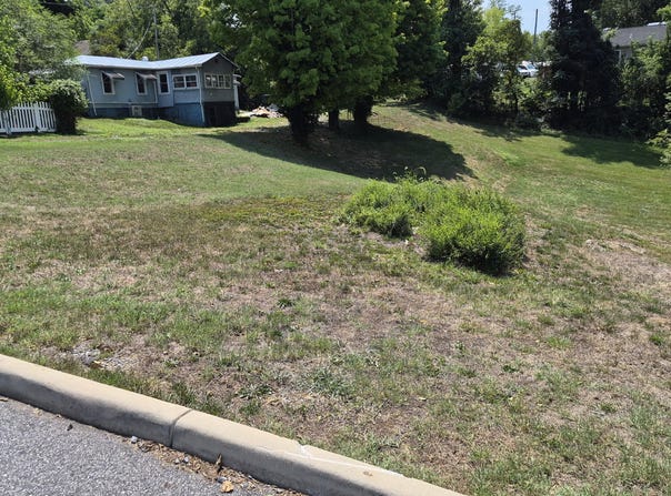 307 PEYTON St, Lexington, VA 24450