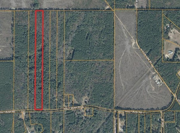 Holly Bush Road, Pelahatchie, MS 39145