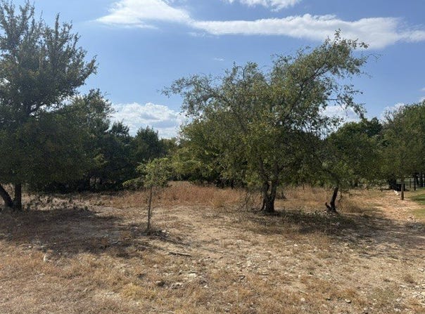 16037 Faircrest Drive, Whitney, TX 76692