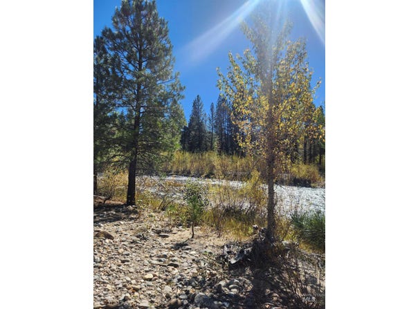E River Drive, Featherville, ID 83647