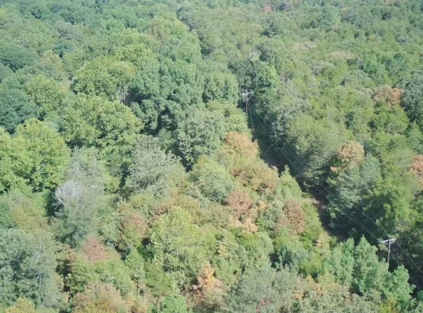 11-8-27 Windsong Way, Ozark, AR 72949