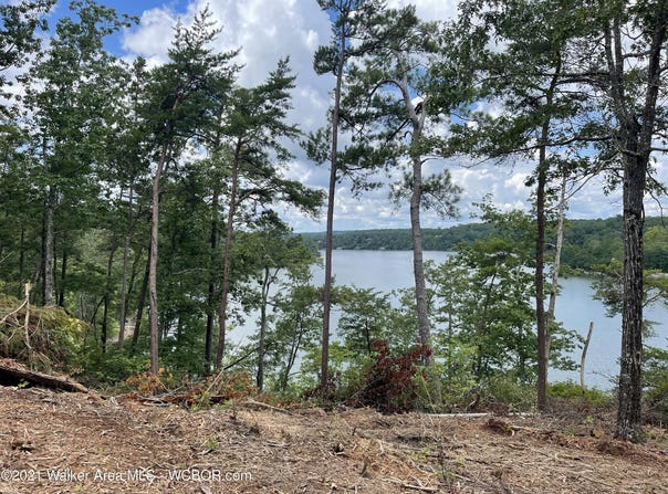 385 EMMONS Dr, Arley, AL 35541