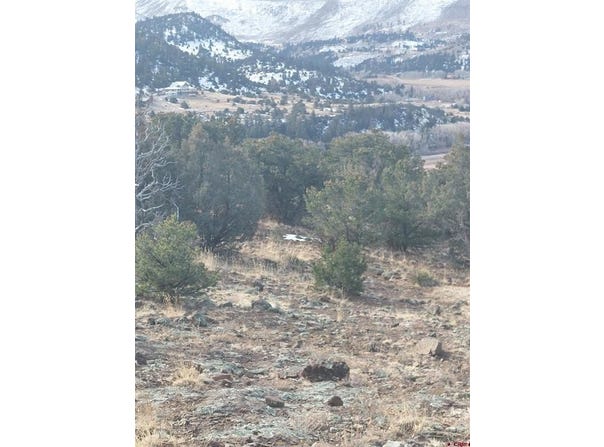 119 Cactus Road, South Fork, CO 81154