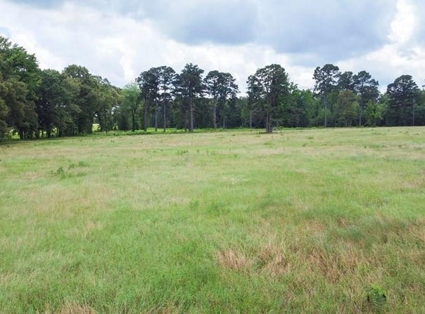 30 +/- ac CR 1112, Maud, TX 75567