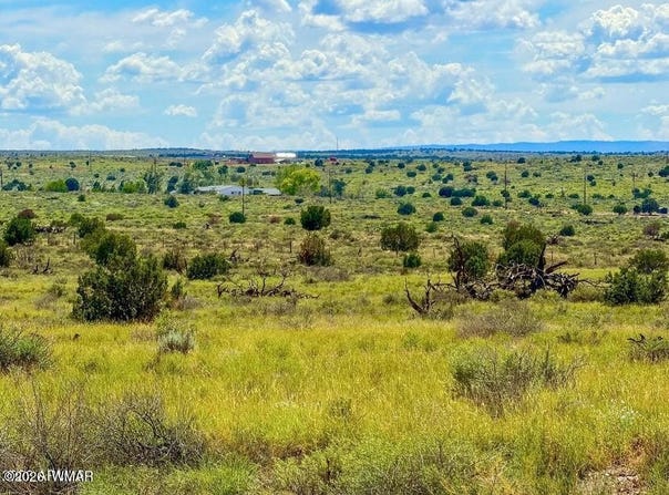 Hay Hollow Rd 20 Acres, Snowflake, AZ 85937