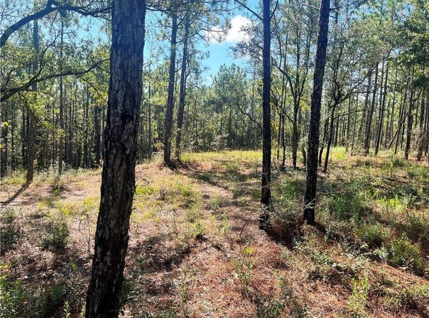 State Highway 225, Bay Minette, AL 36507