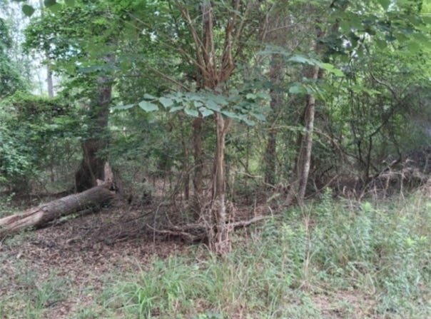 Dogwood Drive, Murchison, TX 75778