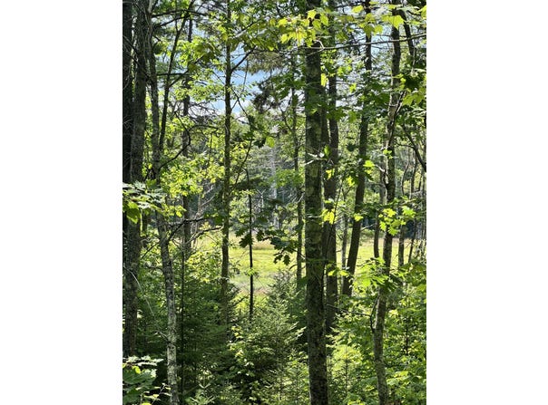 Henry Creek Way, Harpswell, ME 04079