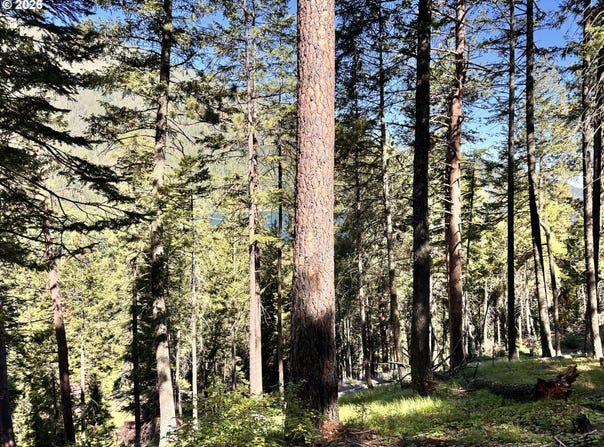 ARAPAHOE Rd, WallowaLake, OR 97846
