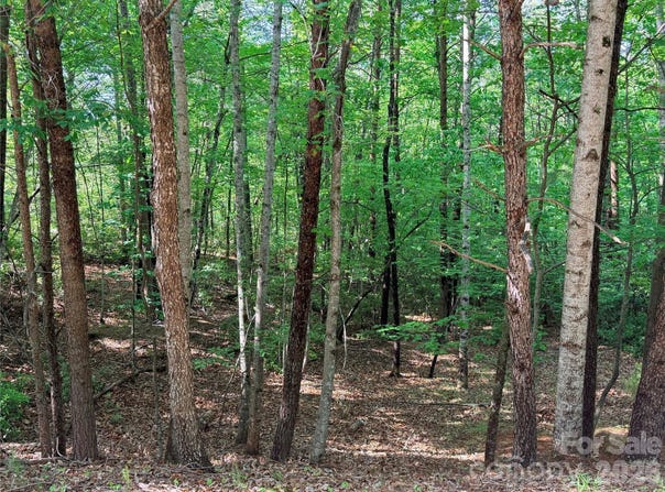 Mcdaniel Court, Lake Lure, NC 28746