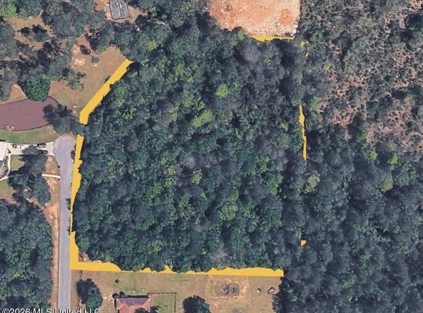 Meadowood Drive, Picayune, MS 39466