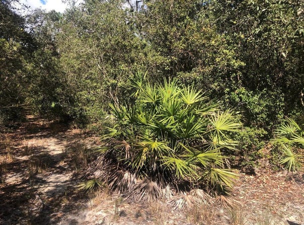 Oregon Street, Interlachen, FL 32148