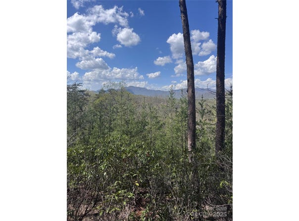 High Pines Loop, Lake Lure, NC 28746