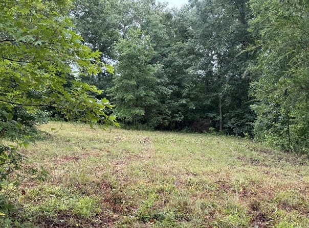 Johnson Hollow Rd, STEWART, TN 37175