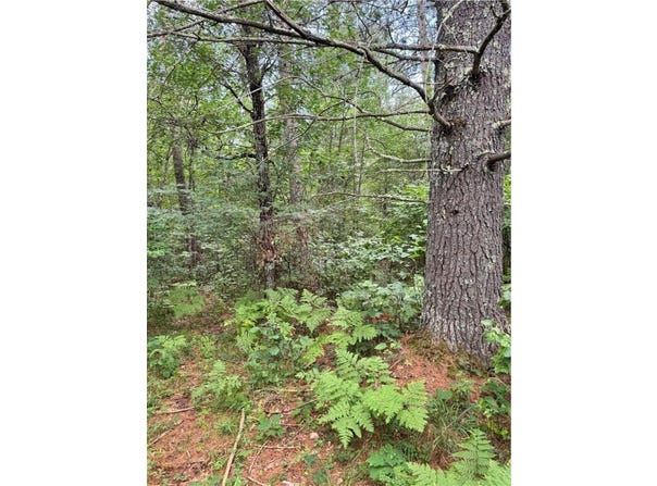 E Wilderness Court, Barnes, WI 54873