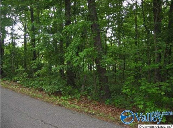 # 8th Avenue, Arab, AL 35016