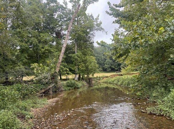 Upper Standing Rock Rd, DOVER, TN 37058