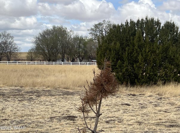 W Highway 60, Springerville, AZ 85938