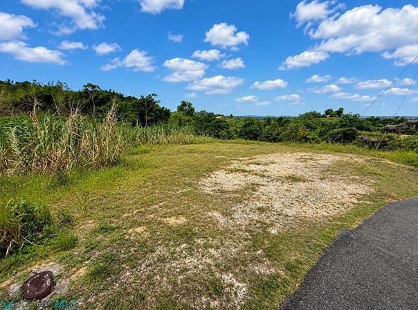 Plana, Isabela, PR 00662