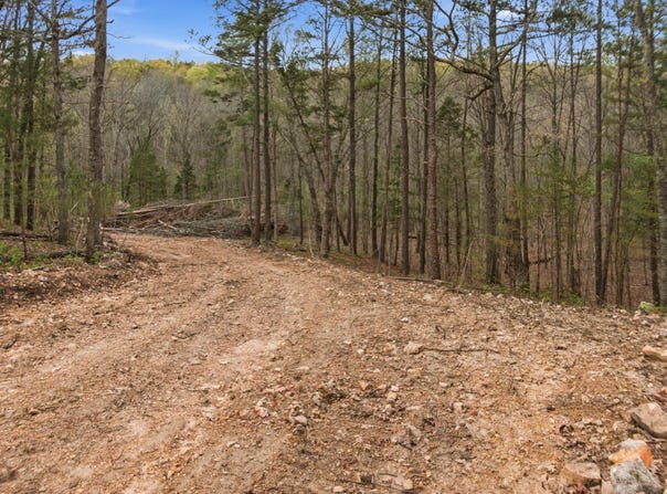 Tract 5 W Highway 32, Licking, MO 65542