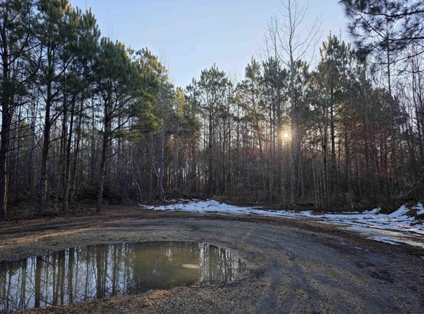 700 Southwood Lane, Rison, AR 71665