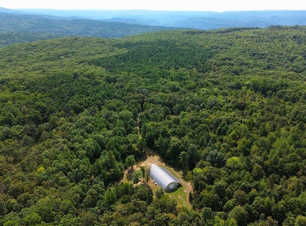 100 Acres FS RD 1548, Oark, AR 72852