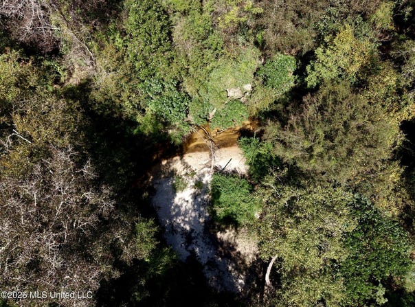 21.79 Acre Homer Ladner Road, Poplarville, MS 39470