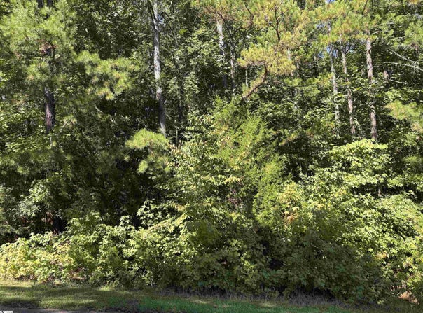 110 Peninsula Drive, Laurens, SC 29360
