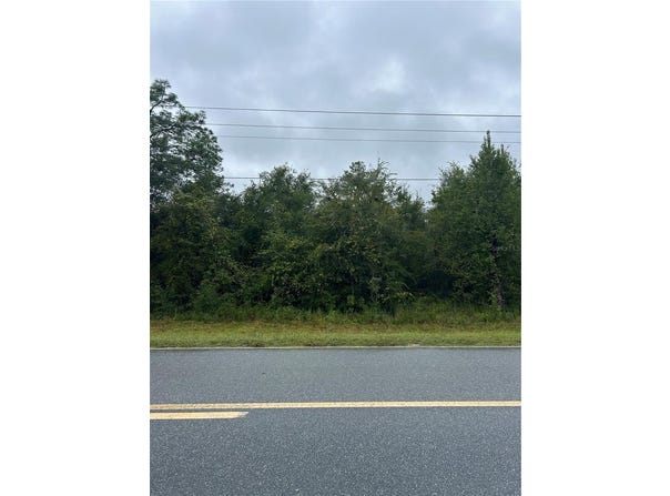 NE 80TH Avenue, BRONSON, FL 32621