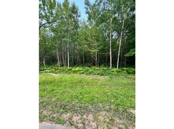 OAK BROOK RD lot: 9, Eagle River, WI 54521
