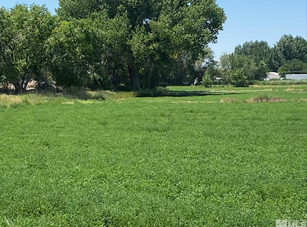 900 Calkin Road, Fallon, NV 89406