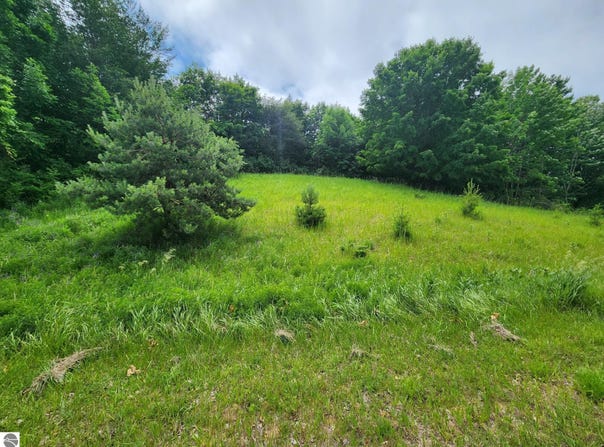 Deer Ridge Trail, Beulah, MI 49617