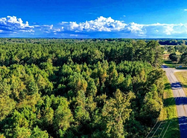 Nathan Jordan Rd, Millry, AL 36558