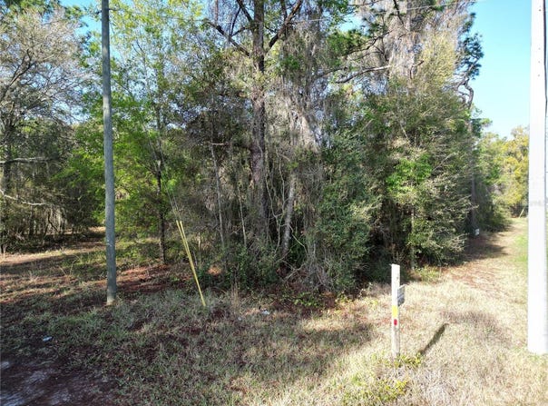 0000 E HWY 25, BELLEVIEW, FL 34420