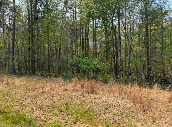 Ironsburg Road, Tellico Plains, TN 37385